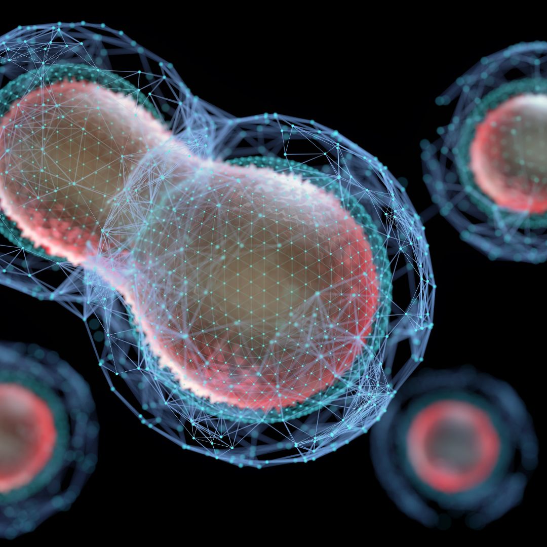 Bioinformatics
