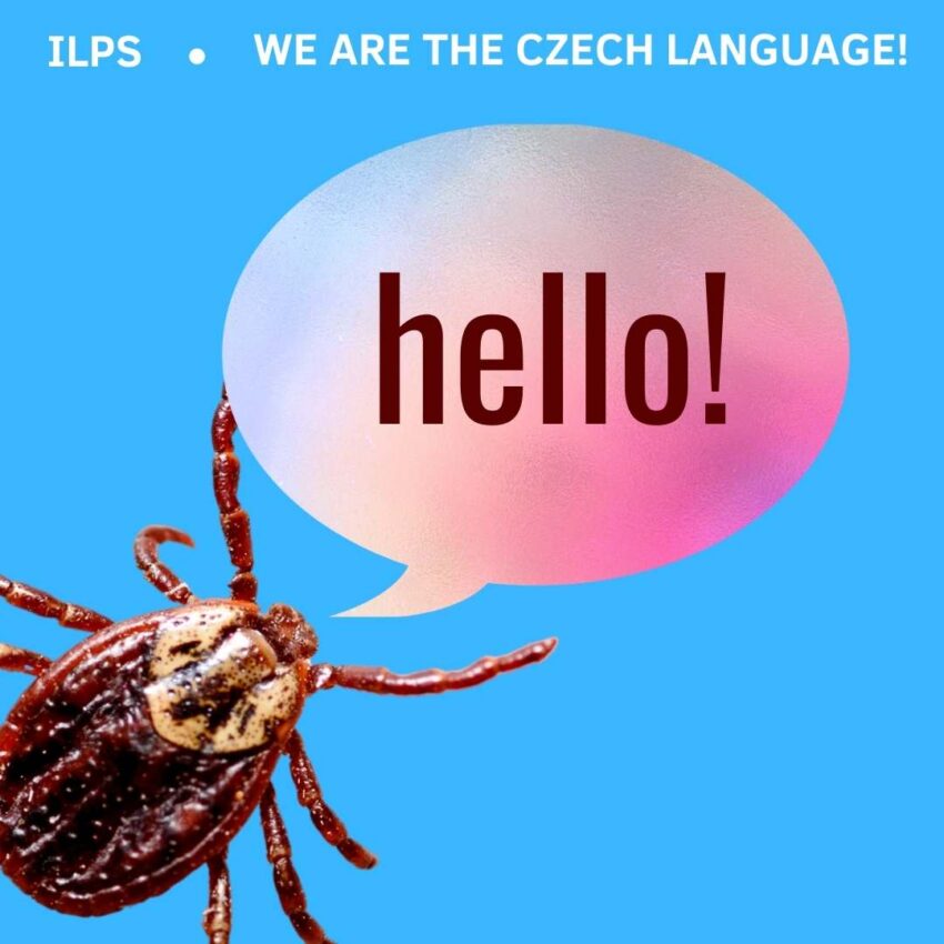 mites in czech republic