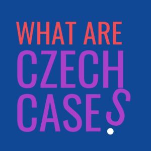 What Are Czech Cases