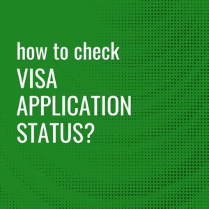 How to check visa application